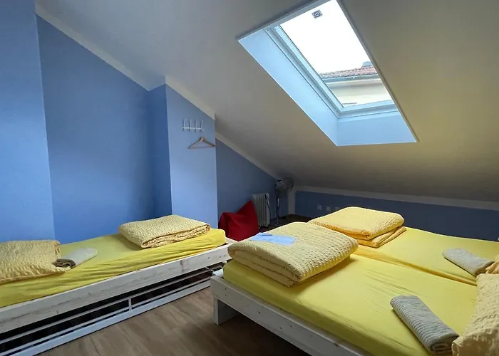 Pardo Bar بيت ضيافة